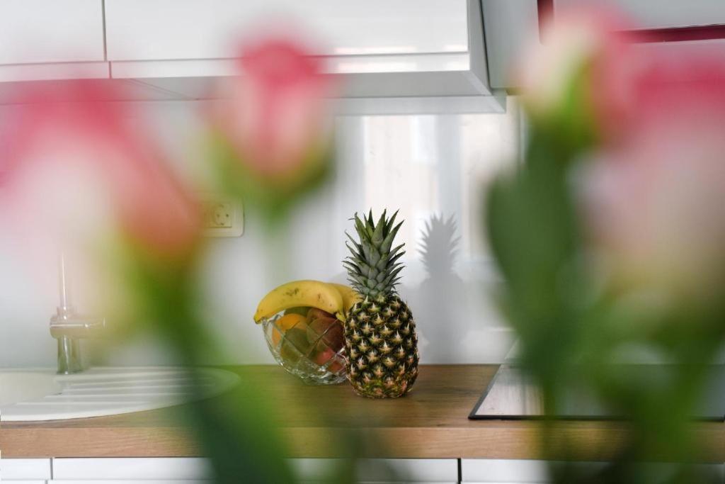 Apartment Lant Ζαντάρ Εξωτερικό φωτογραφία